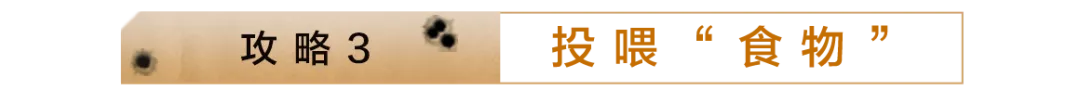 五大联赛惊,昨日连胜,马里非凡发,广州赛马会,赛程安排,赛马赛事,马匹资料,赛事动态